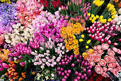 《枯萎的房间》4月2日正式发售 登陆PC和主机